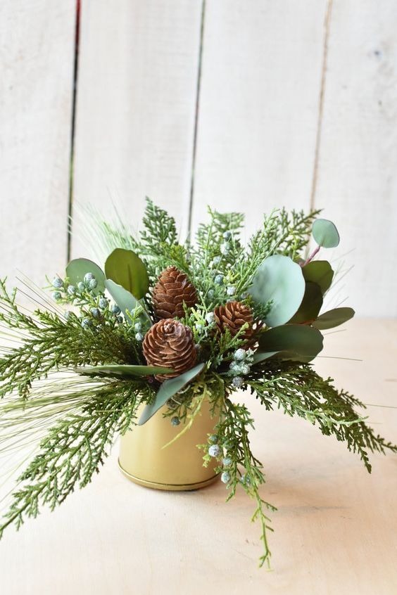 Pinecone And Evergreen