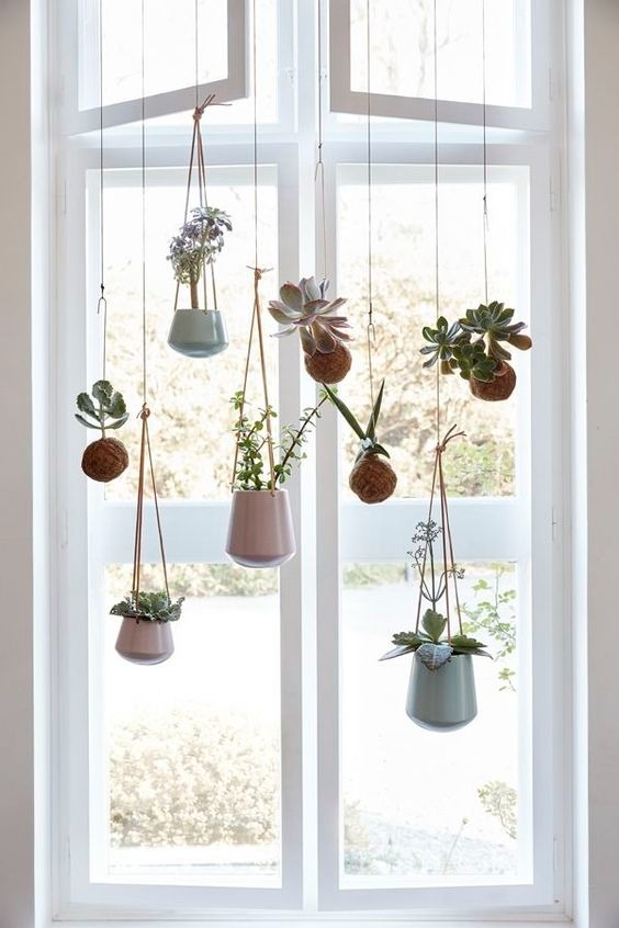 Potted Hanging Planters