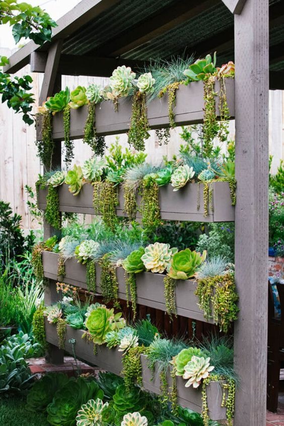 vertical garden ideas