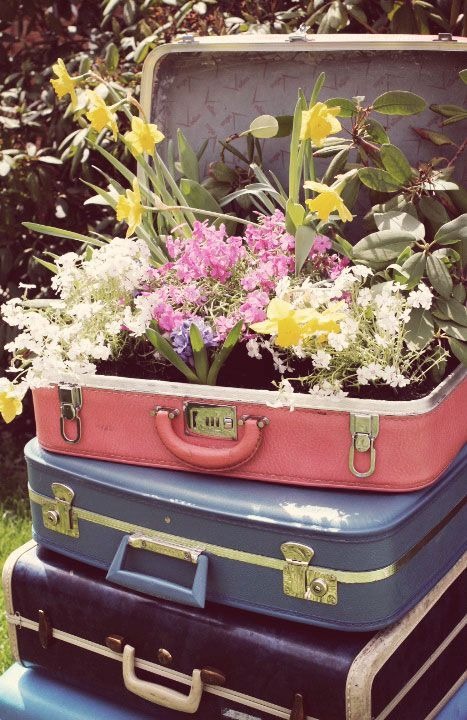 Suitcase Flower Bed