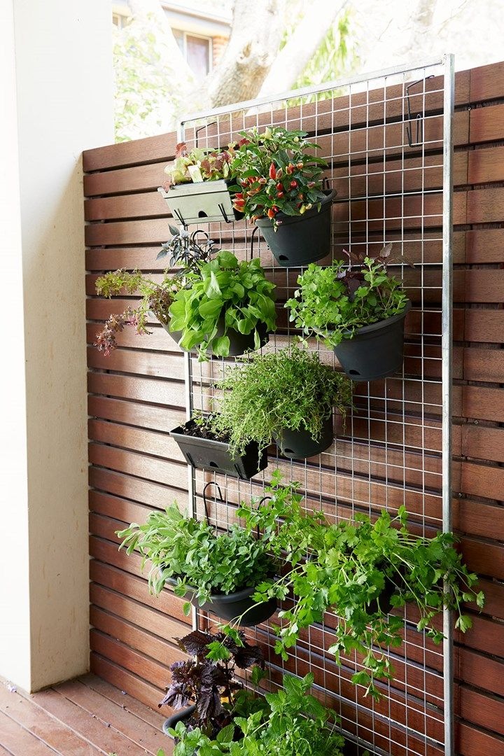 The Vertical Herb Wall