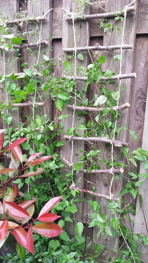 DIY garden trellis ideas