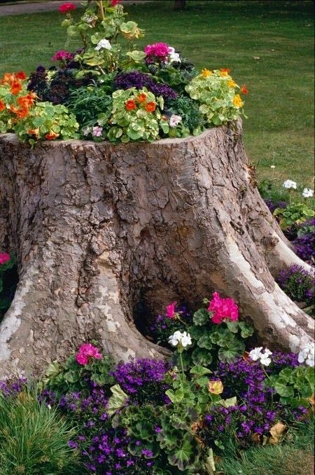 Tree Stump Flower Bed