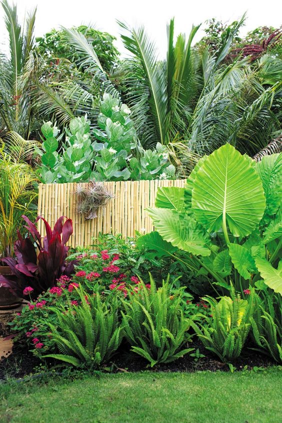 Tropical Oasis Fence Landscaping
