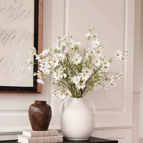 White Cosmos In Vase