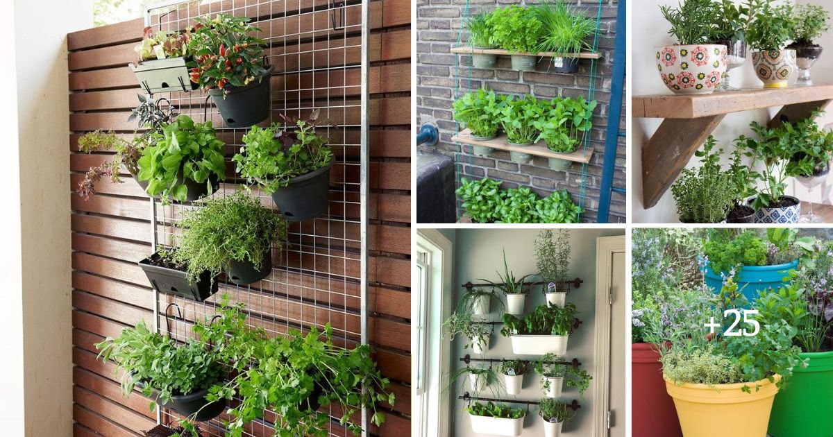 30 Herb Garden Ideas For Small Spaces And Big Flavors