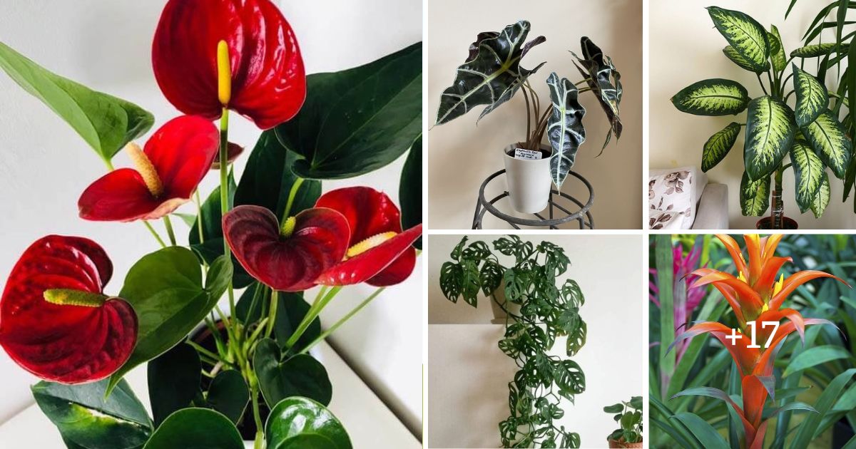 22 Tropical Plants That Will Transform Your Space Into A Paradise