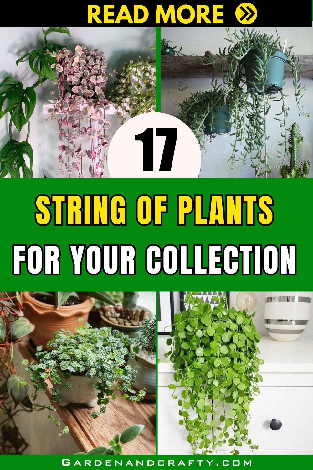 17 Best String Of Plants For Hanging Baskets And Plant Stands