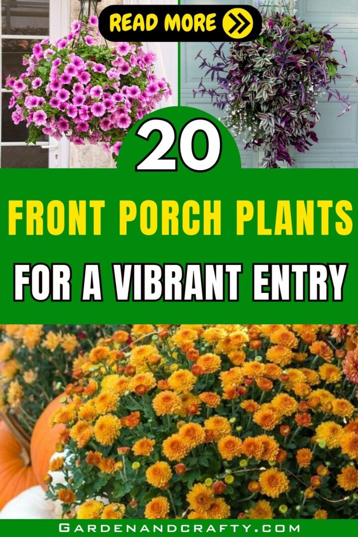 20 Front Porch Plants That Will Boost Your Curb Appeal