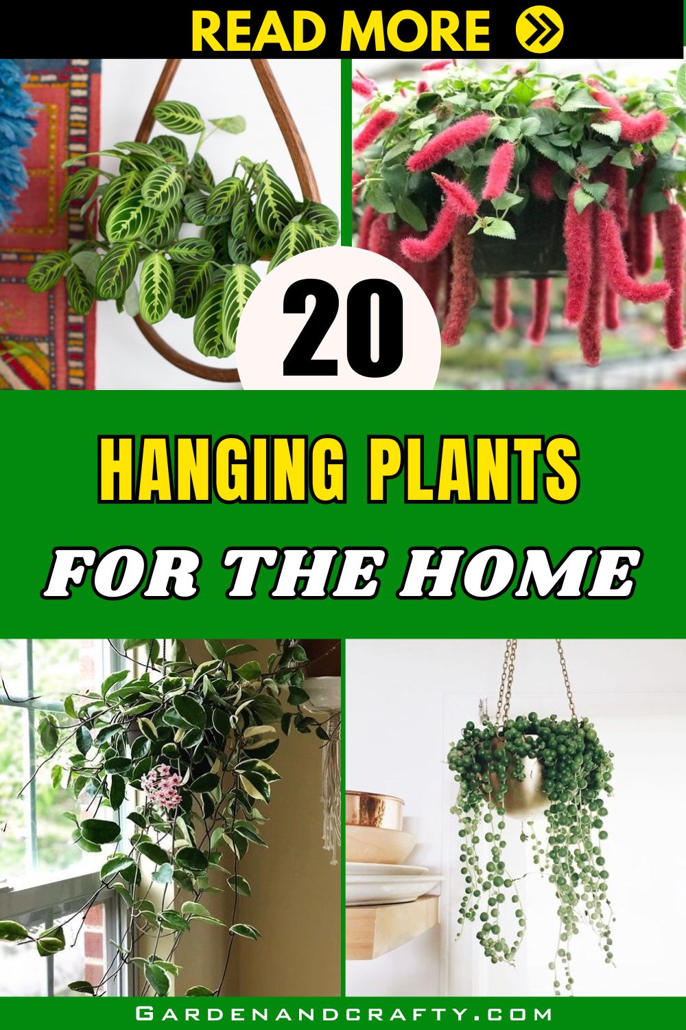 20 Hanging Plants That Will Brighten Up Any Room In Your House
