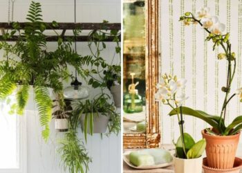 Bathroom Plants: 20 Plants That Love The Humidity Of Your Bathroom
