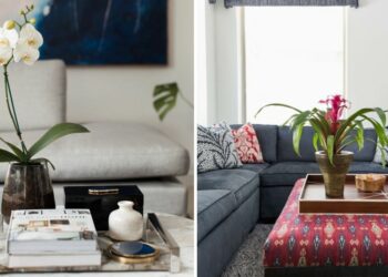 20 Coffee Table Plants That Are Low-Maintenance And High-Impact