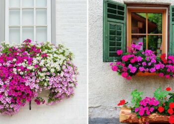 40 Window Box Ideas To Boost Your Home’s Curb Appeal