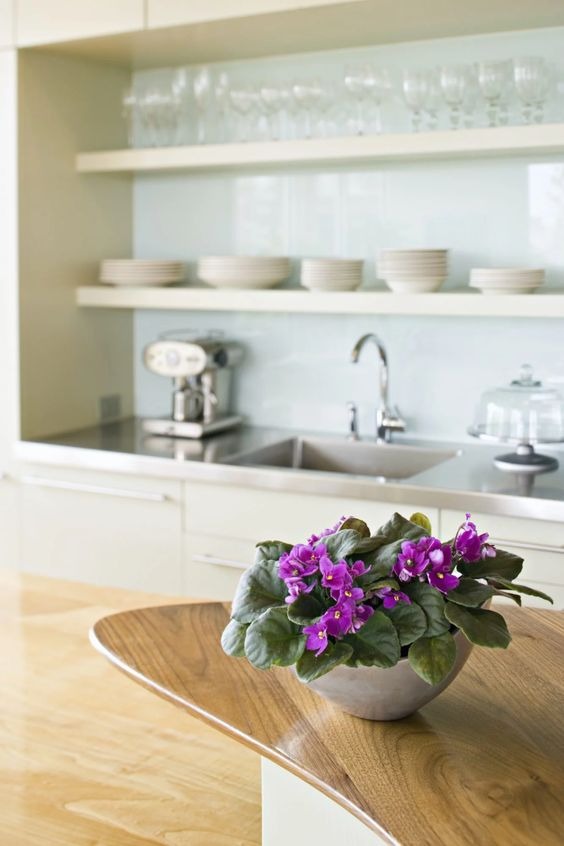 20 Kitchen Plants That Will Brighten Up Your Cooking Space