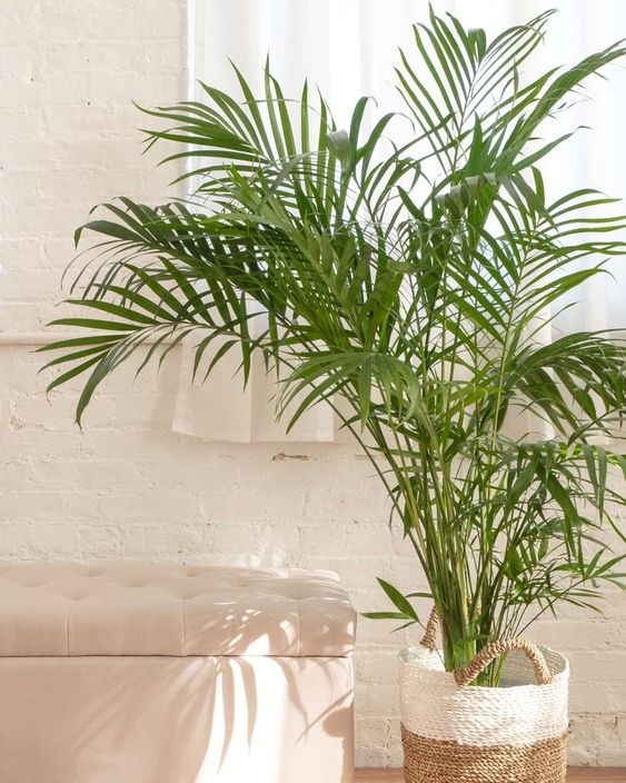 20 Fake Plants That Look Real And Require No Maintenance