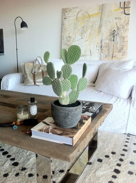 20 Coffee Table Plants That Are Low-Maintenance And High-Impact