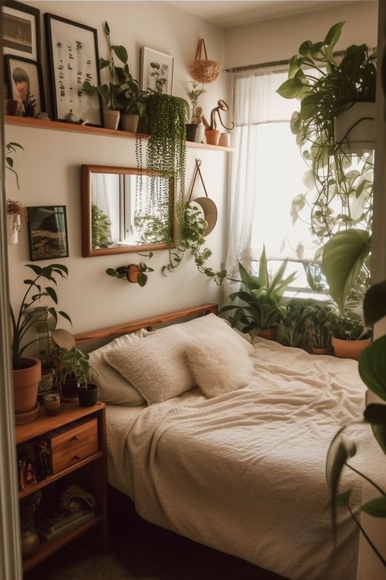 Cozy Indoor Jungle