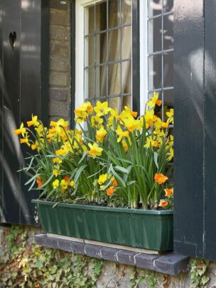 40 Window Box Ideas To Boost Your Home’s Curb Appeal