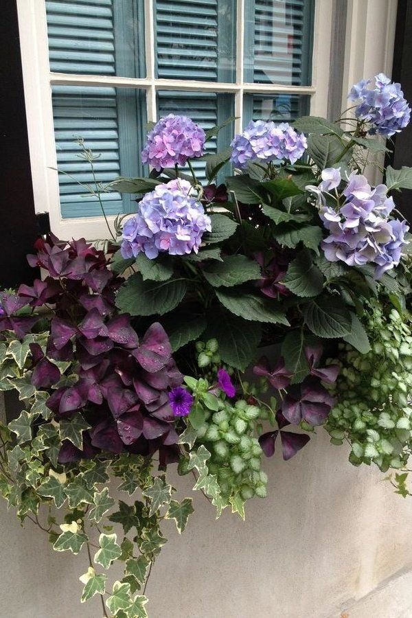 40 Window Box Ideas To Boost Your Home’s Curb Appeal