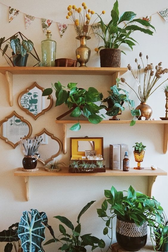 Plant-covered Shelves