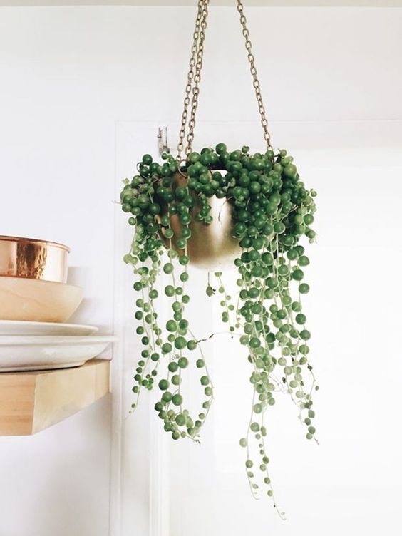 String Of Pearls