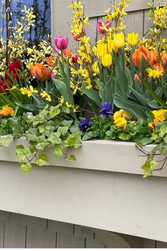 40 Window Box Ideas To Boost Your Home’s Curb Appeal