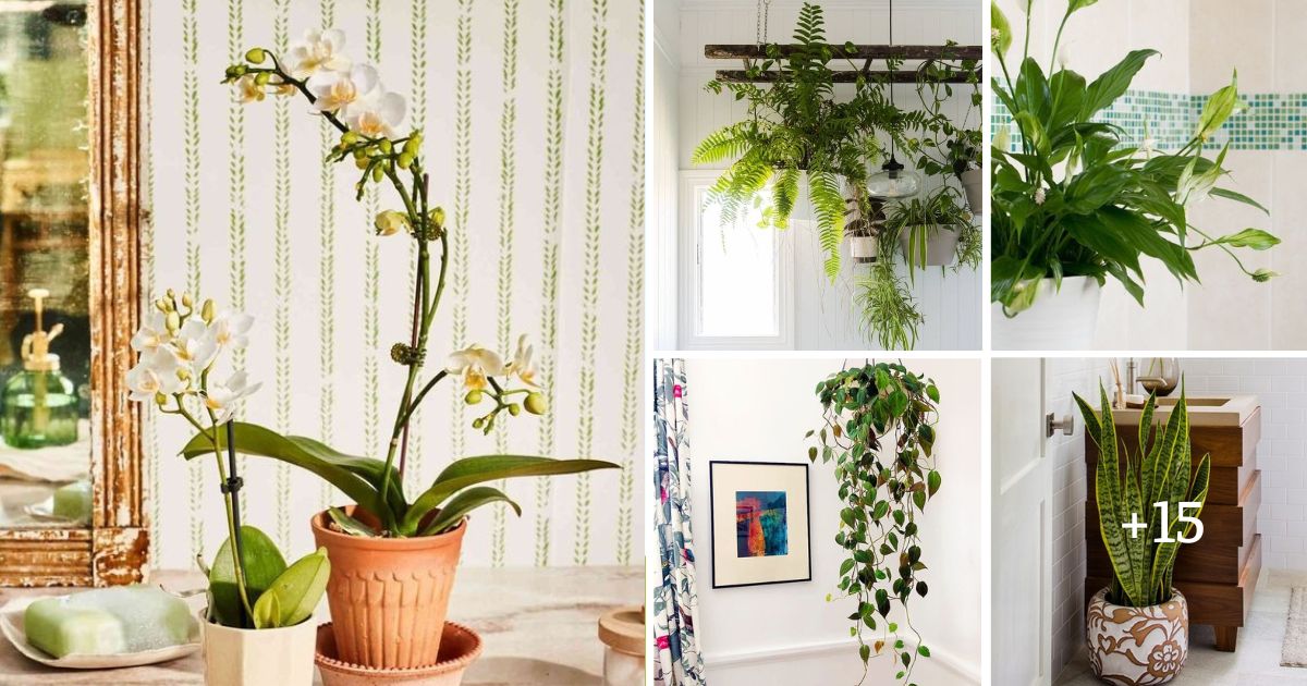 Bathroom Plants: 20 Plants That Love The Humidity Of Your Bathroom