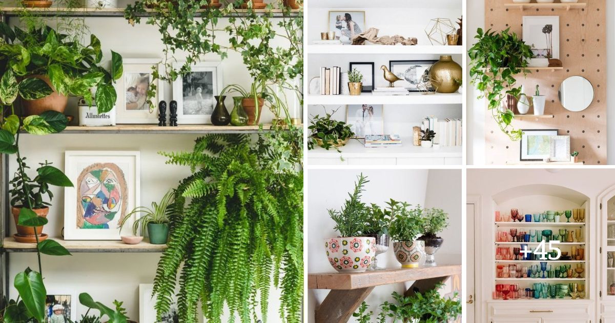 50 Shelf Decor Ideas That Are Functional And Beautiful