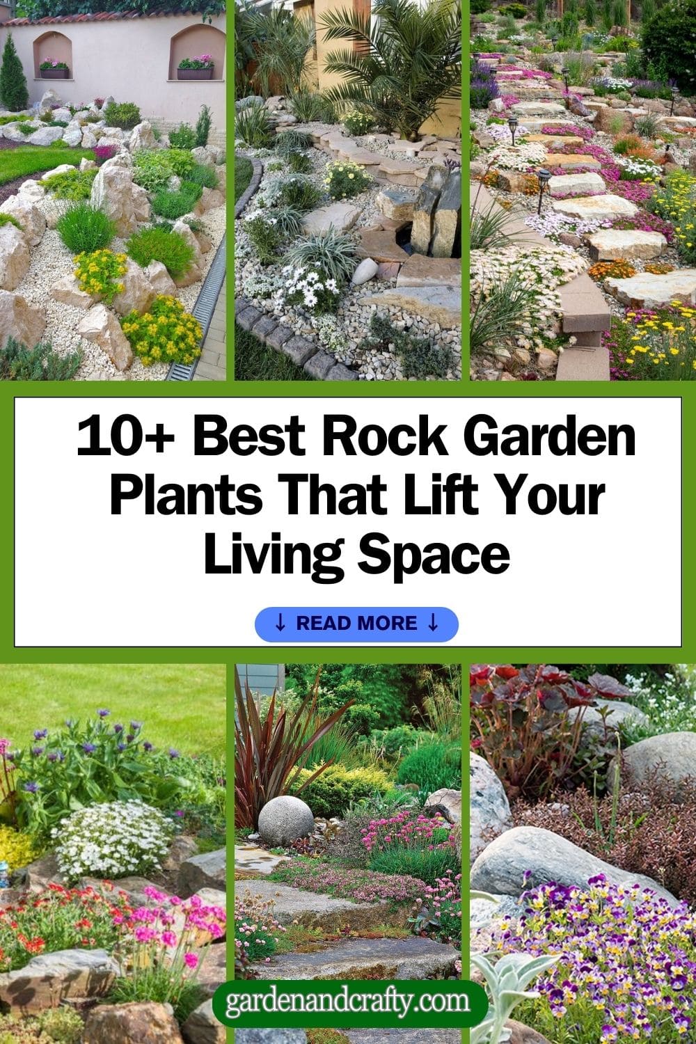 15 Best Rock Garden Plants That Lift Your Living Space