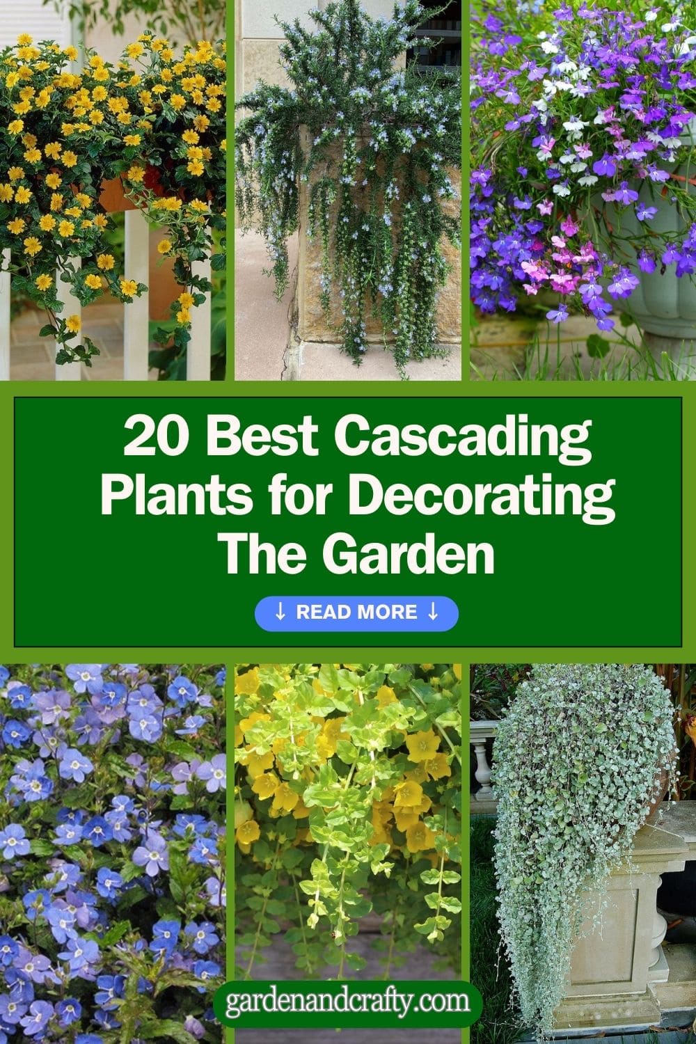 20 Best Cascading Plants for Decorating The Garden