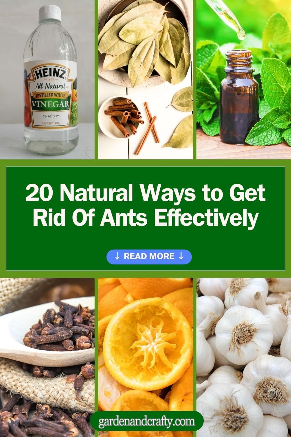 20 Natural Ways to Get Rid Of Ants Effectively In Your Home