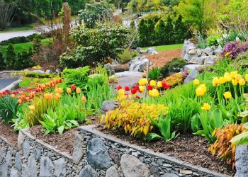 6 Tips for Maximizing Space in Your Small Garden 6 Ways Maximize Space in Your Small Garden