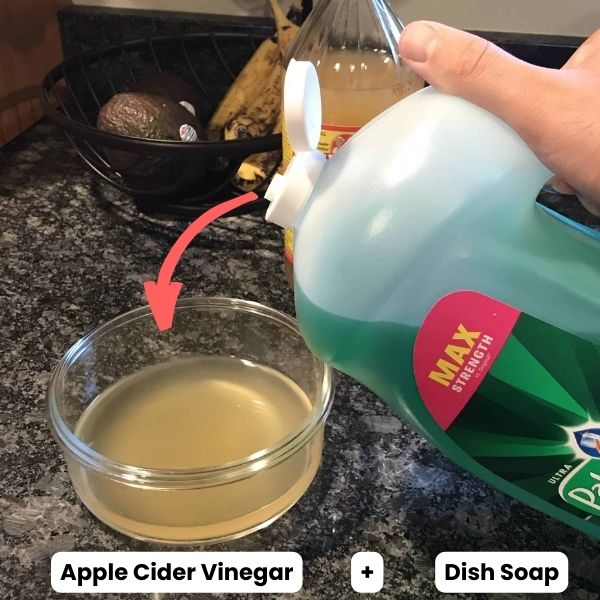 Apple Cider Vinegar and Dish Soap