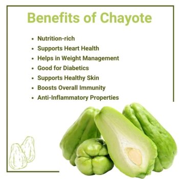 How to Grow and Care for Chayote In Your Garden