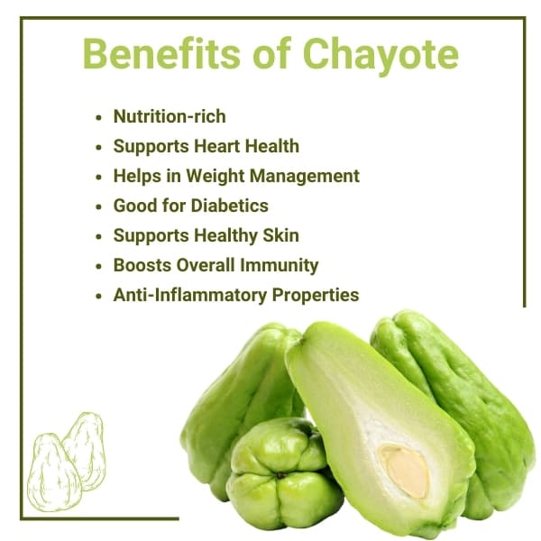 Benefits of Chayote