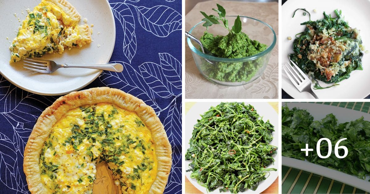 Top 10 Benefits of Lamb’s Quarter to Health