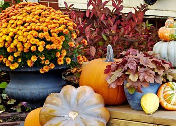 Fall Gardening Guide: Essential Tasks and Planting Tips Fall Gardening Guide