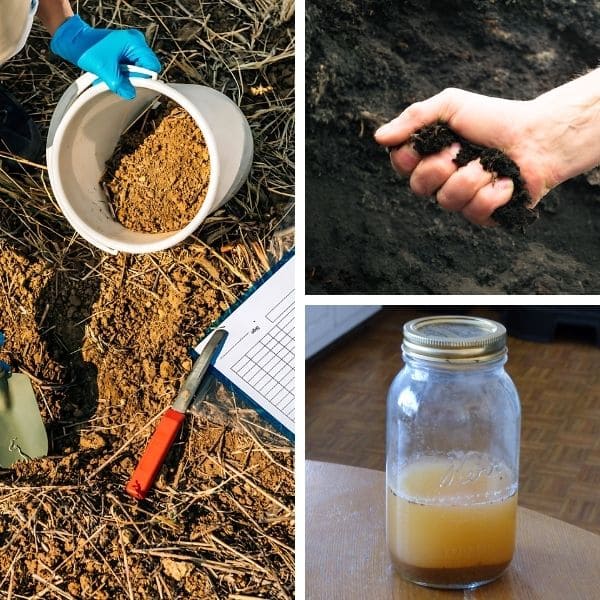 How can you tell if you have sandy soil?