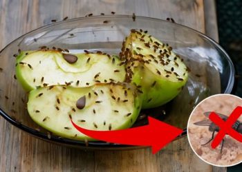 How to Get Rid Of Flies