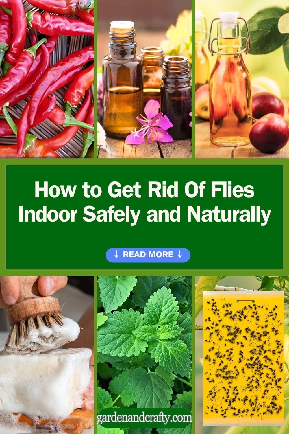 How to Get Rid Of Flies Indoor Safely and Naturally