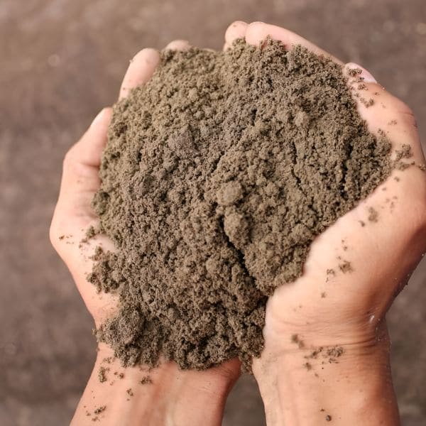 Sandy Soil