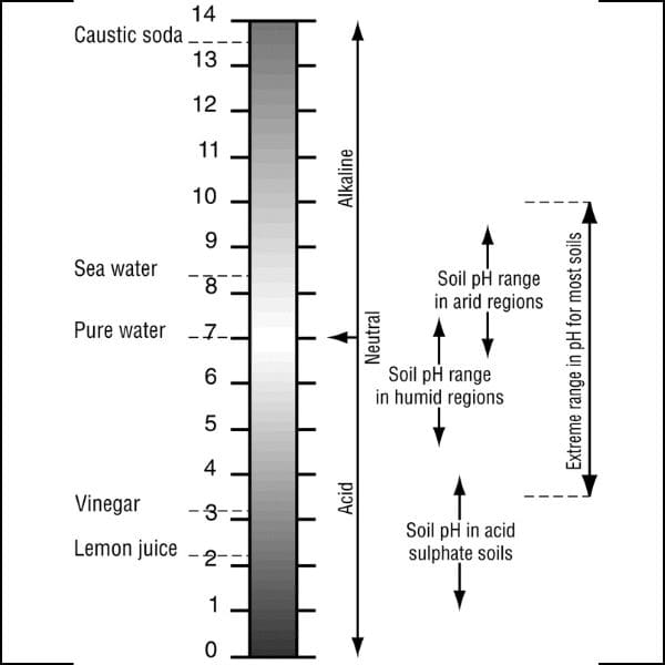 Soil pH
