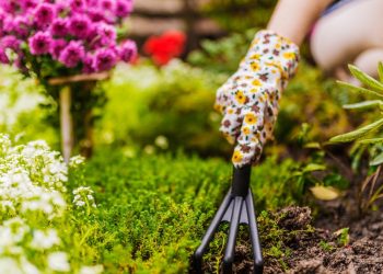Spring Gardening Checklist: Preparing for a New Season Spring Gardening Checklist: Preparing for a New Season