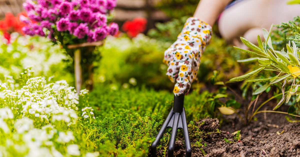 Spring Gardening Checklist: Preparing for a New Season
