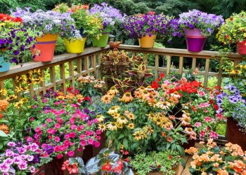 Tips for Successful Container Gardening