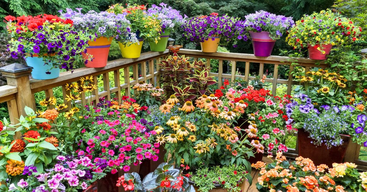 10 Tips for Successful Container Gardening