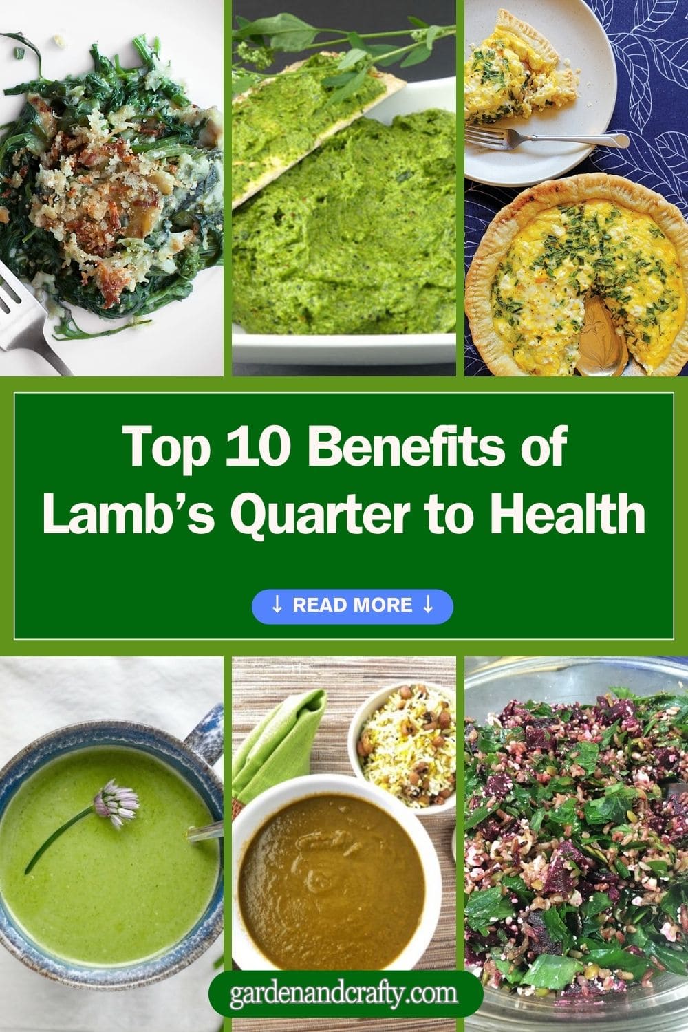 Top 10 Benefits of Lamb’s Quarter to Health