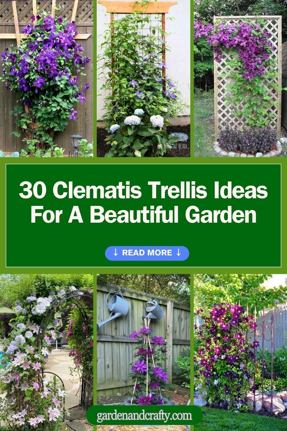 Top 30 Best Clematis Trellis Ideas for A Beautiful Garden