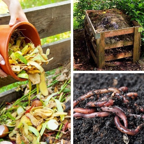Types of Compost