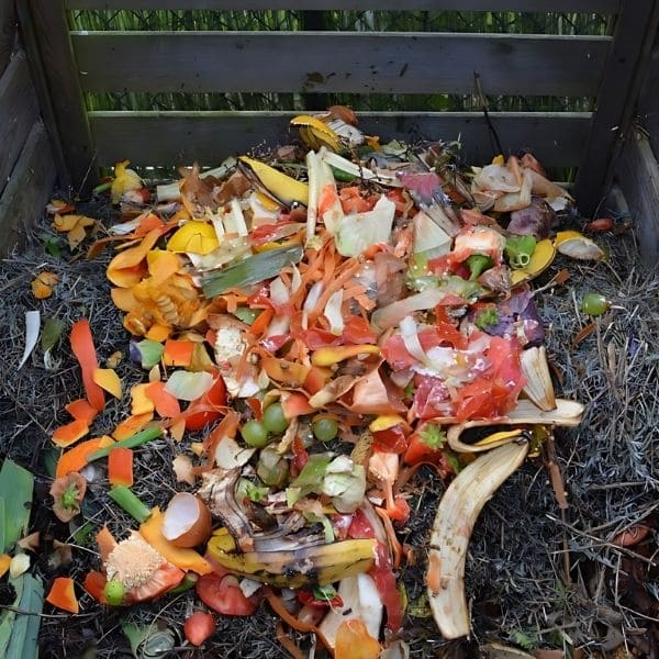 What to Compost